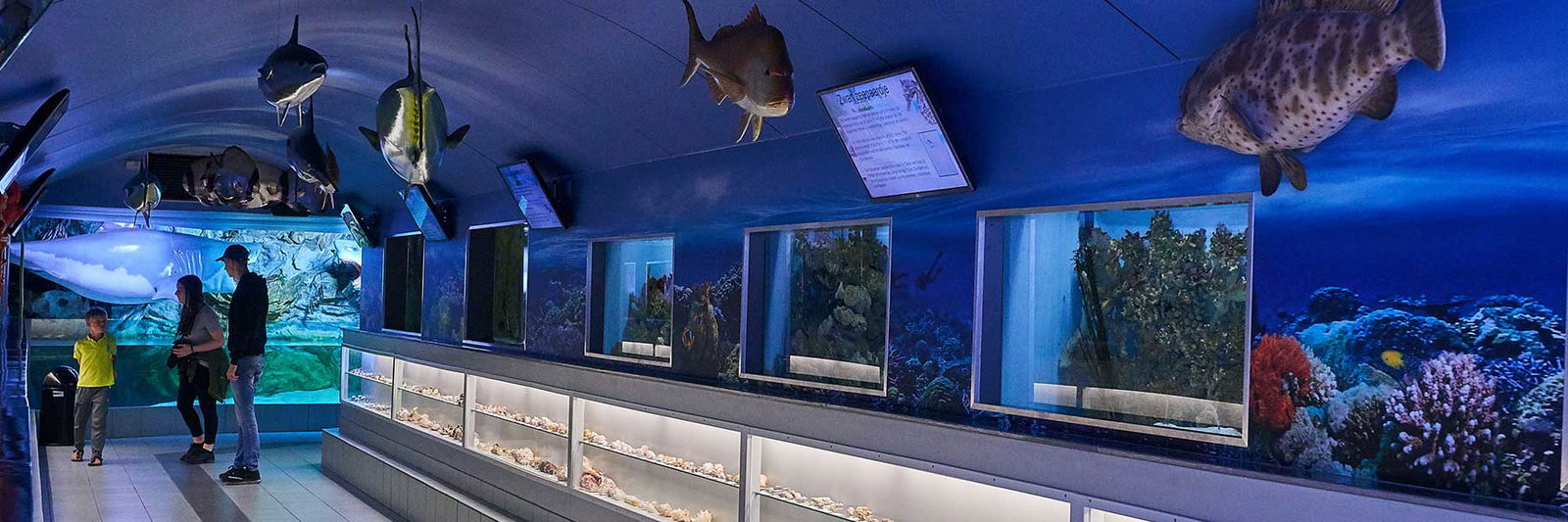 Zee Aquarium Bergen aan Zee