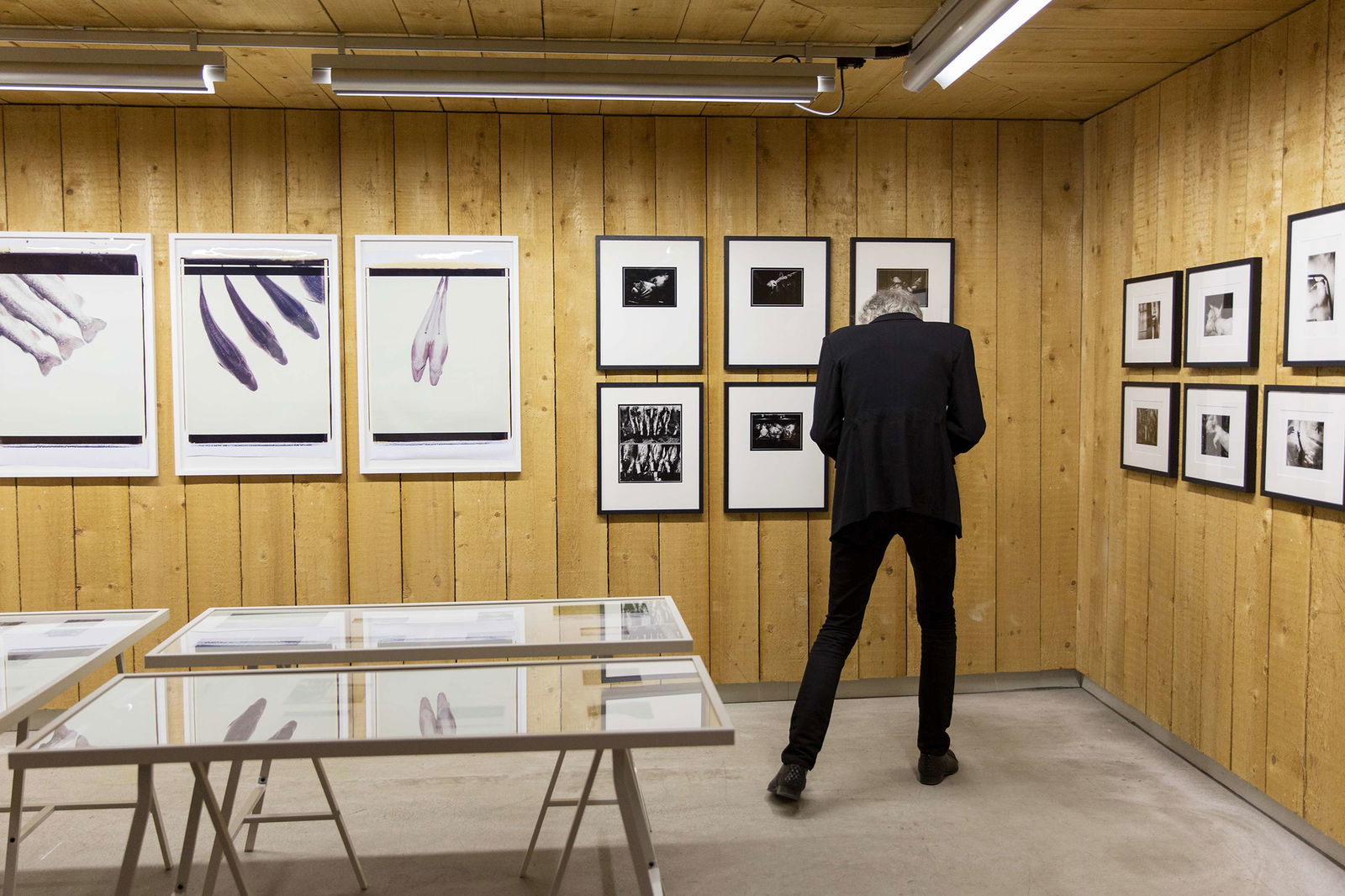 Noorderlicht. Studio | Festival | On Tour