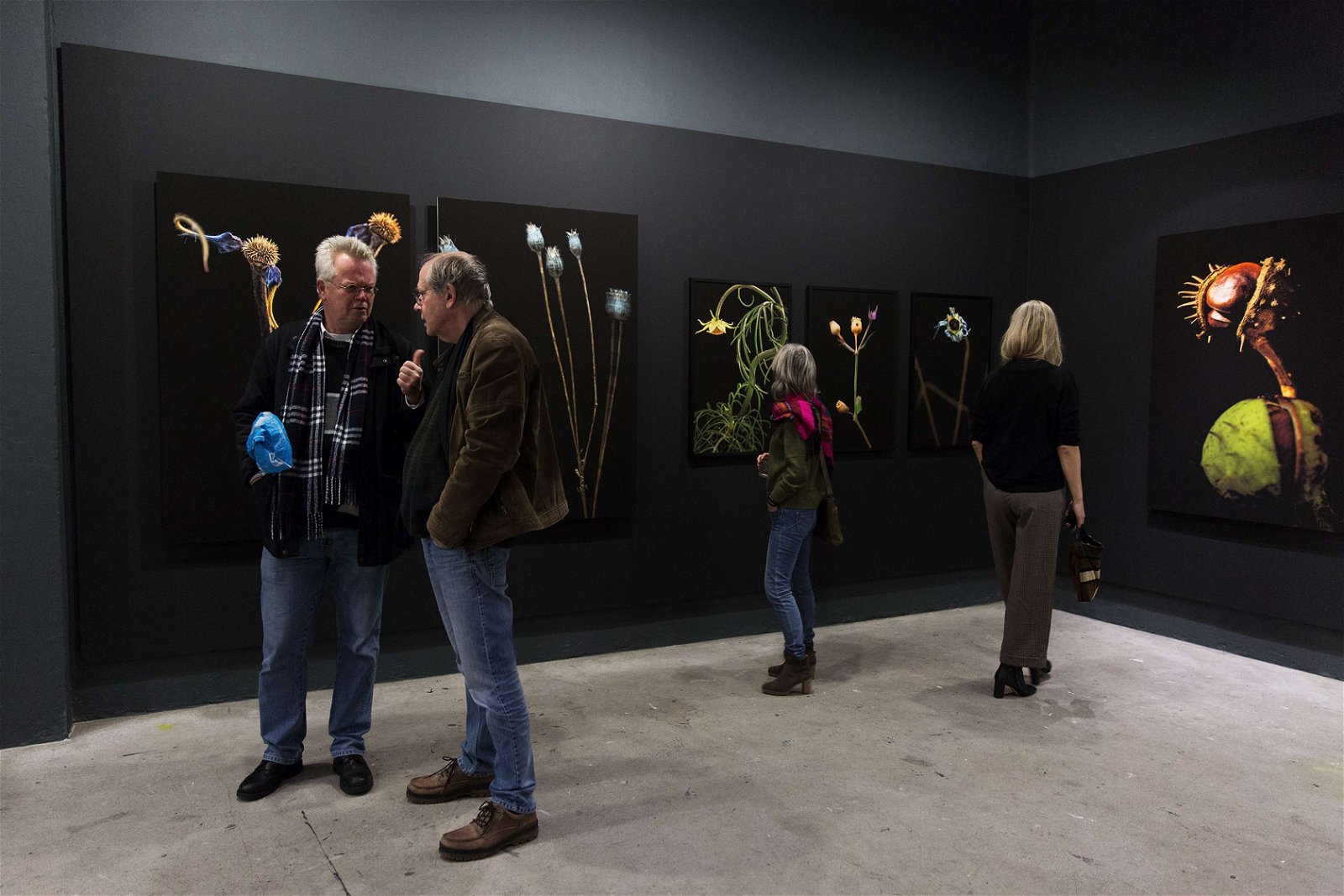 Noorderlicht. Studio | Festival | On Tour