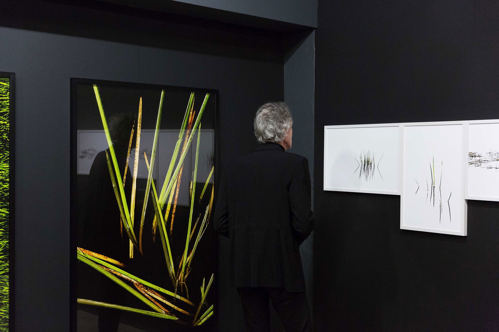 Noorderlicht. Studio | Festival | On Tour