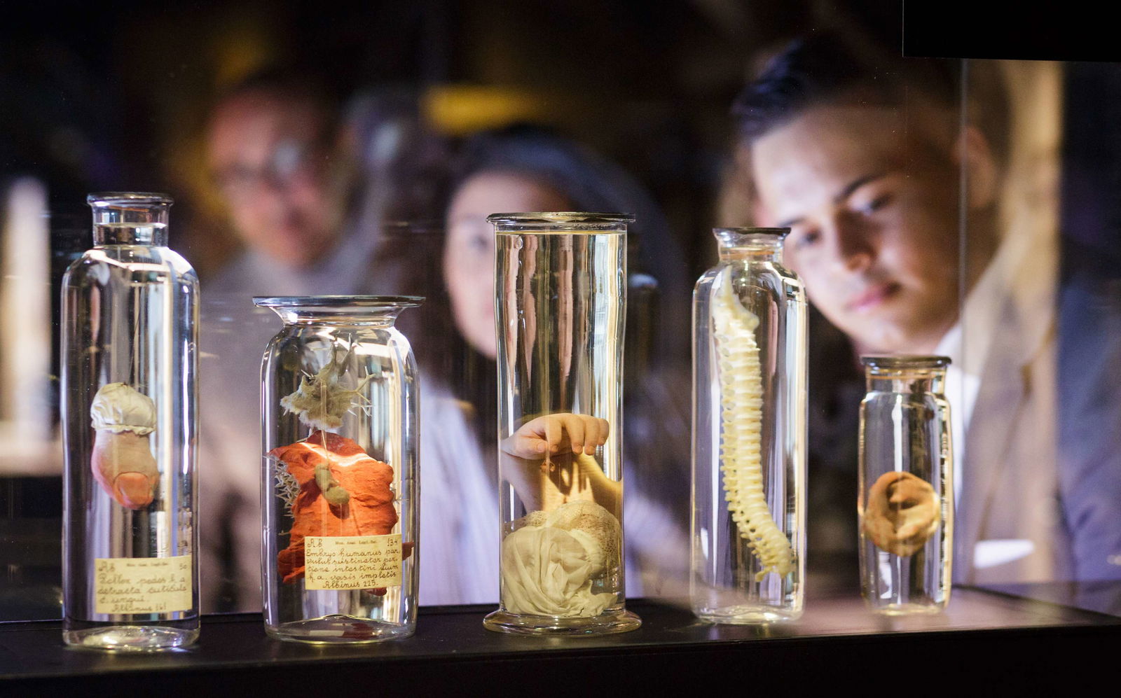 Rijksmuseum Boerhaave