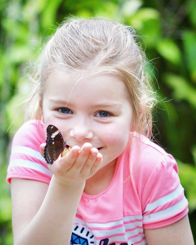 Butterfly garden Vlindorado