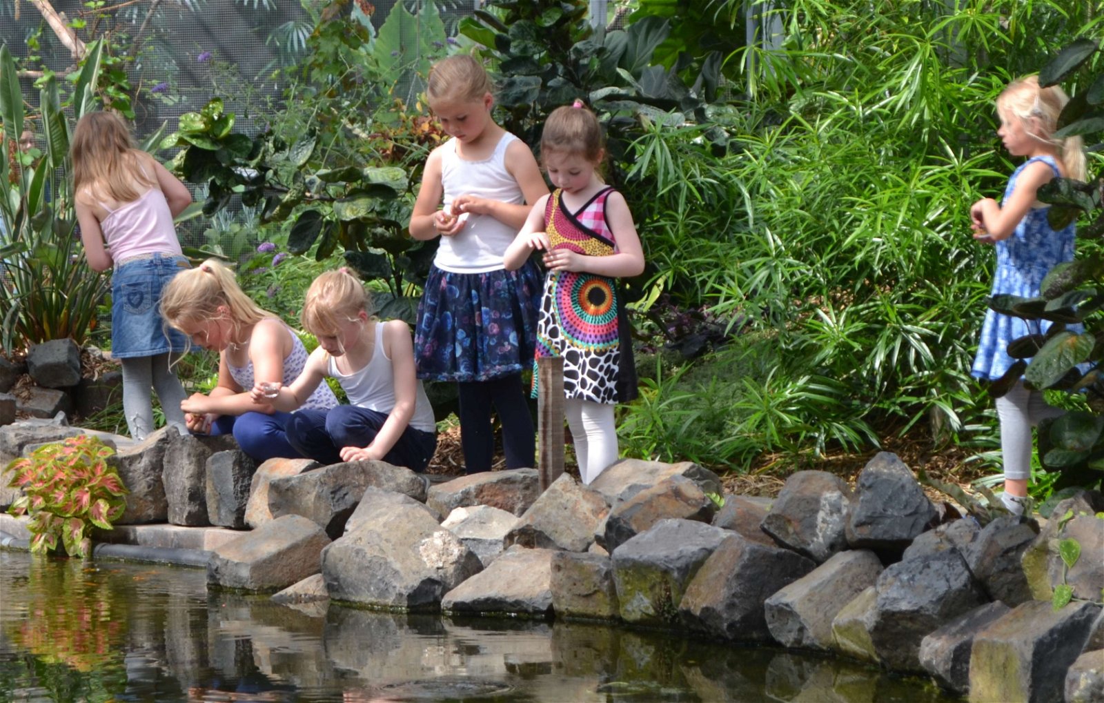 Vlindertuin Vlindorado