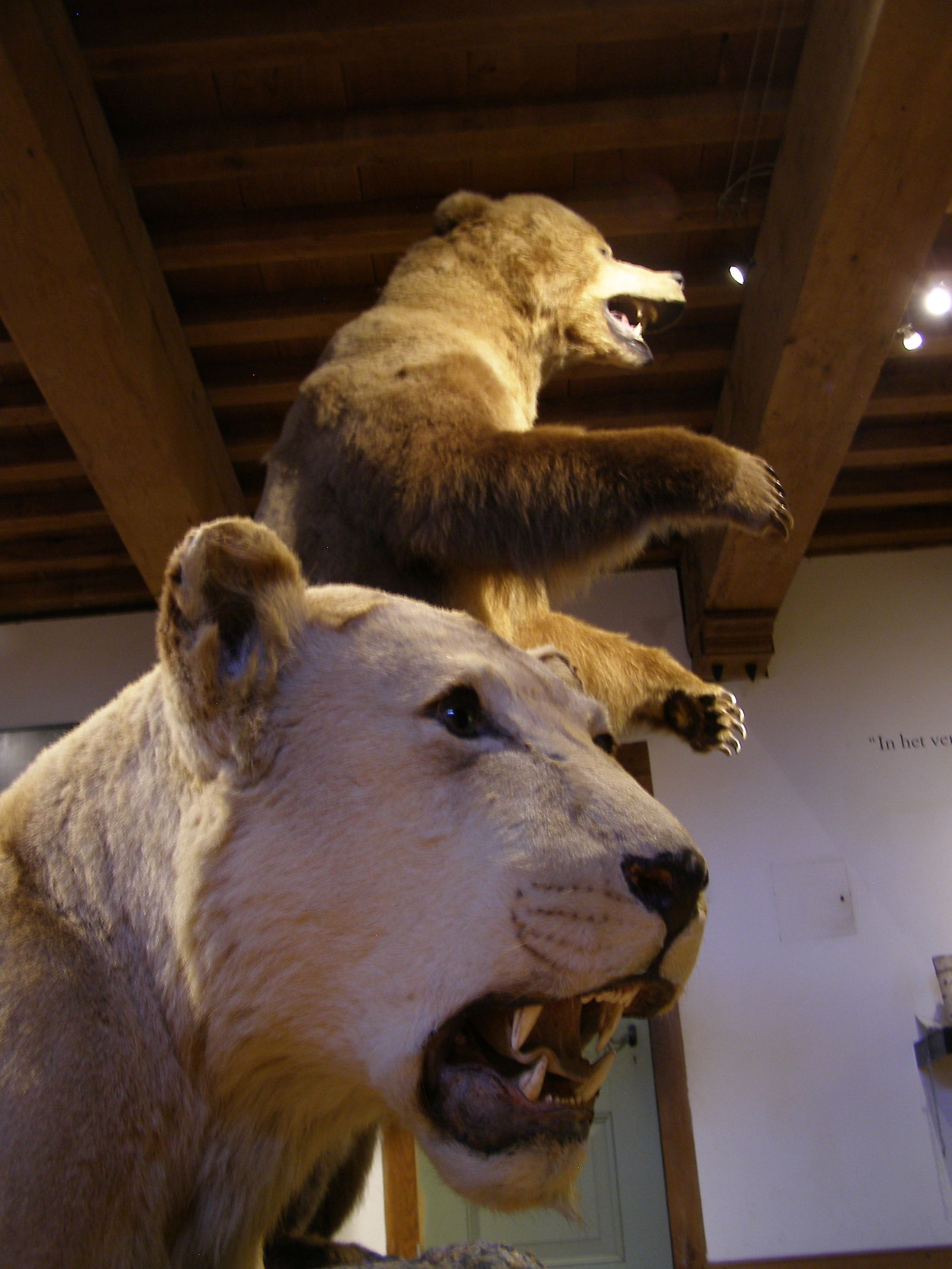 La Musée de la Chasse Néerlandais