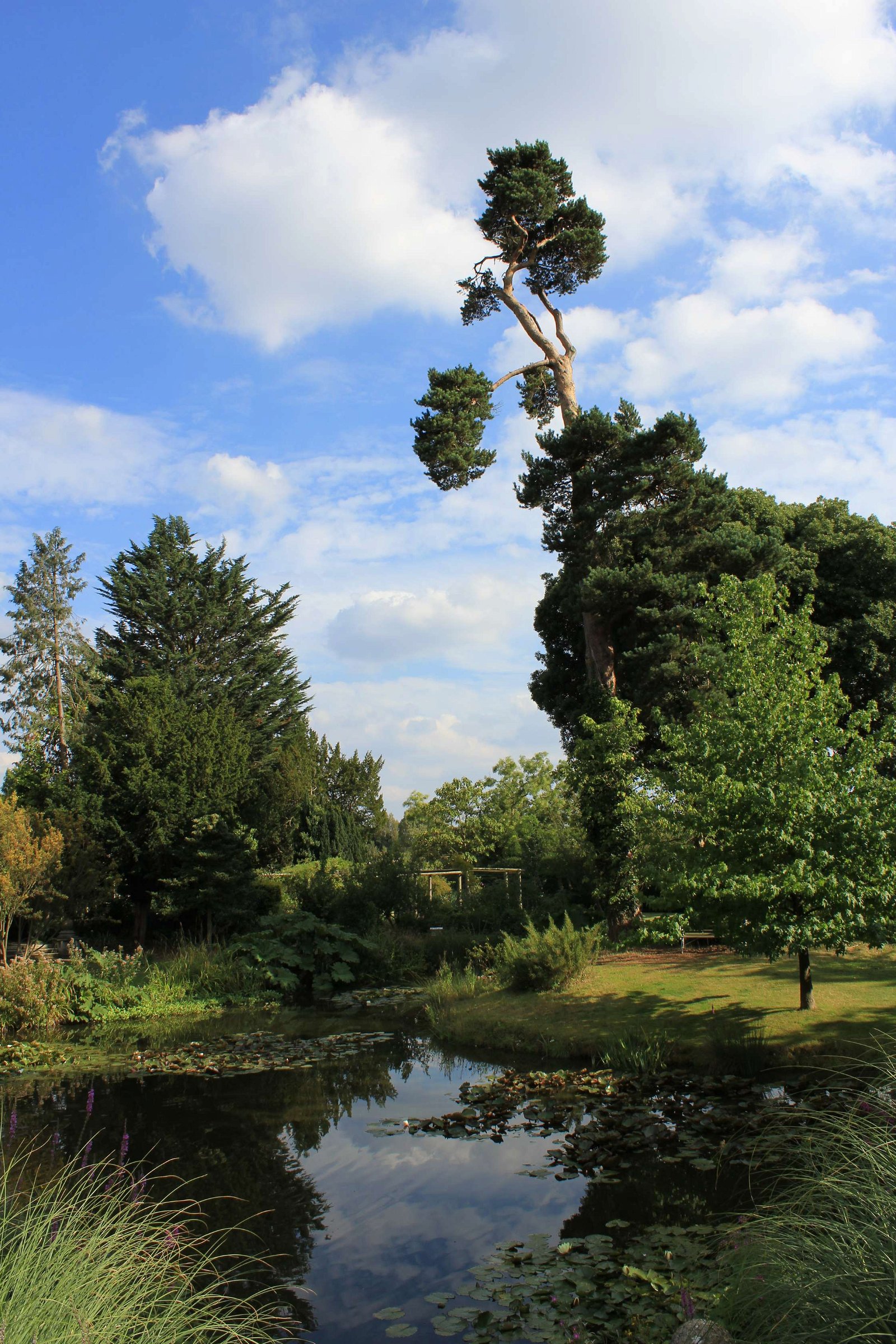 Myddelton House Gardens