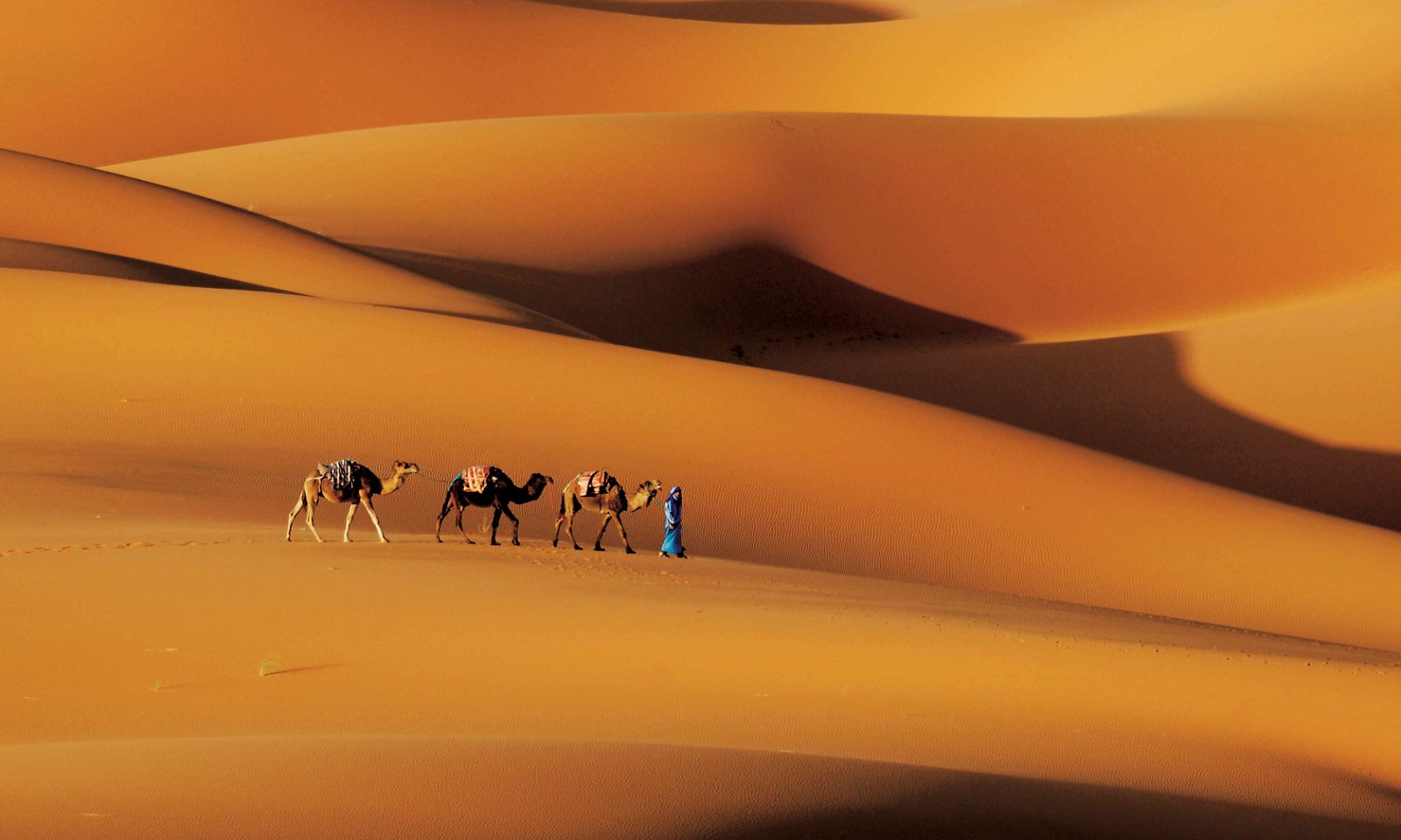 Fotomuseum aan het Vrijthof