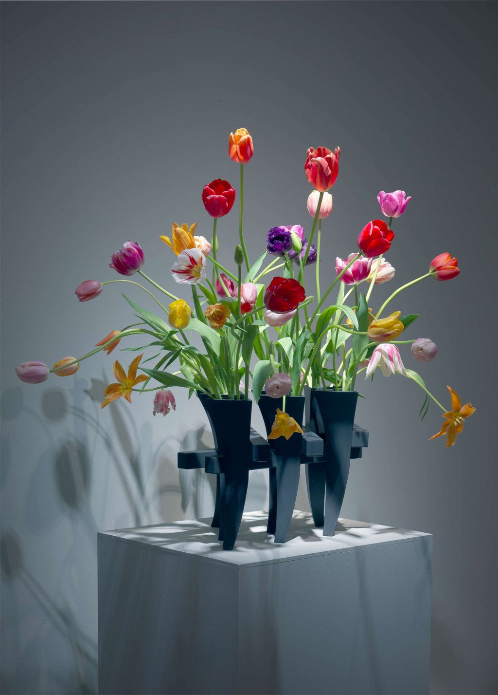 Museum in Bloom
