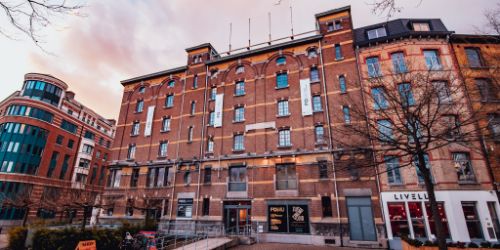 Alec Soth - Gathered Leaves