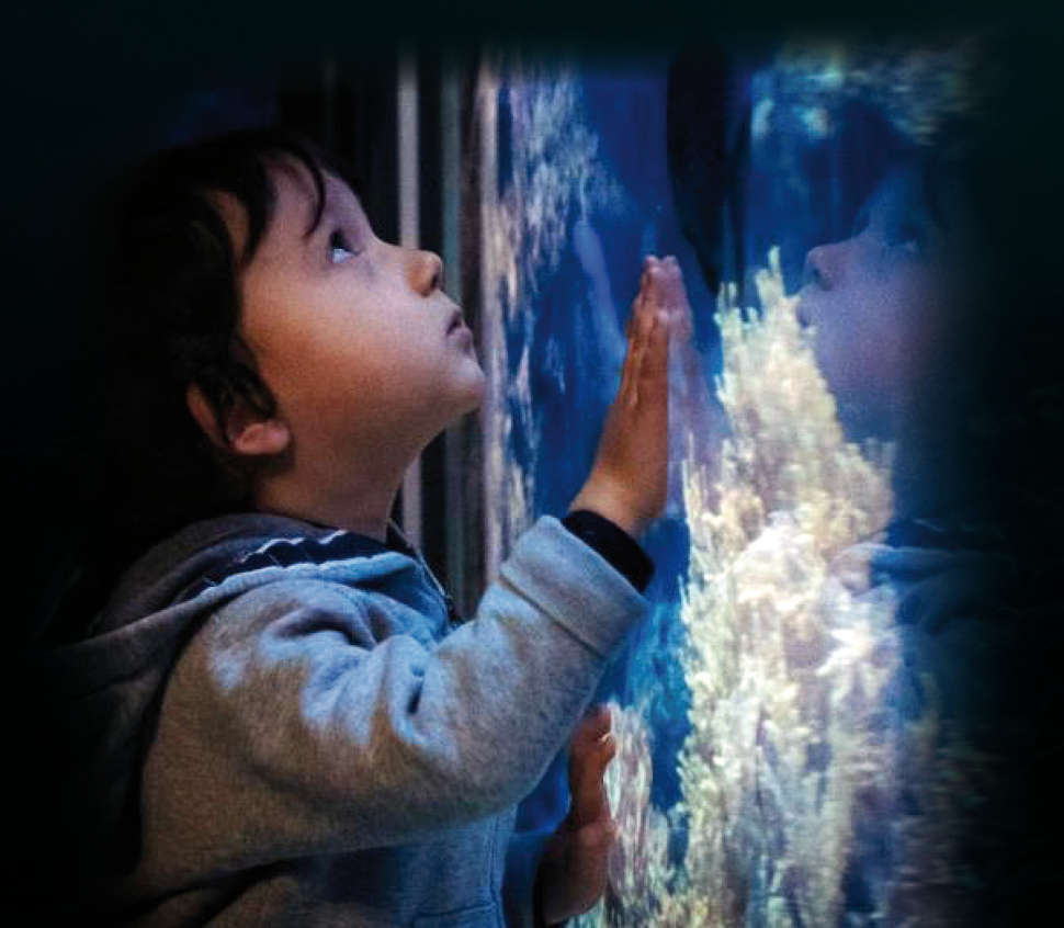 Meeres Aquarium Bergen aan Zee