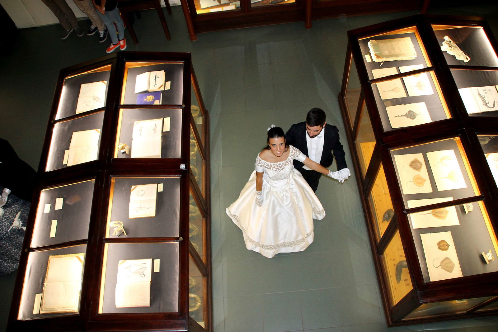 Museo Di Zoologia "P. Doderlein"