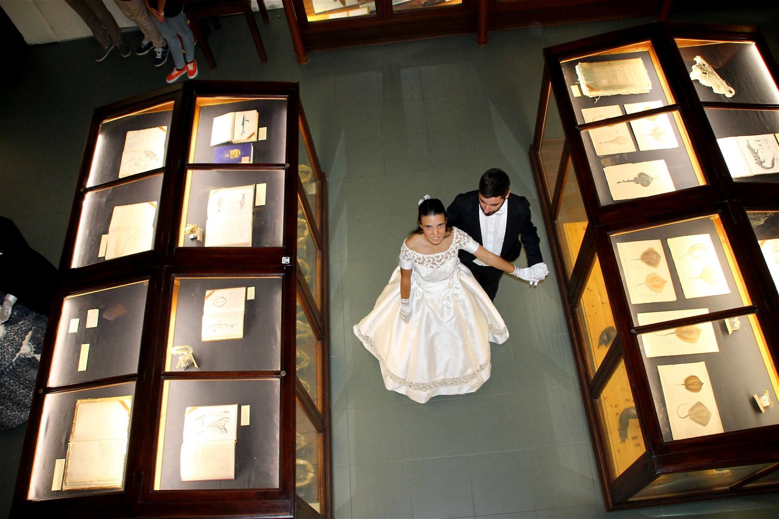 Museum of Zoology "P. Doderlein"