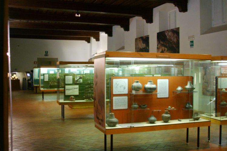 Museo Fiorentino di Preistoria Paolo Graziosi