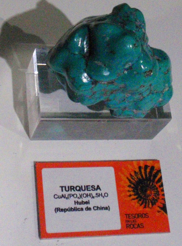 Museo Elder de la Ciencia y la Tecnología