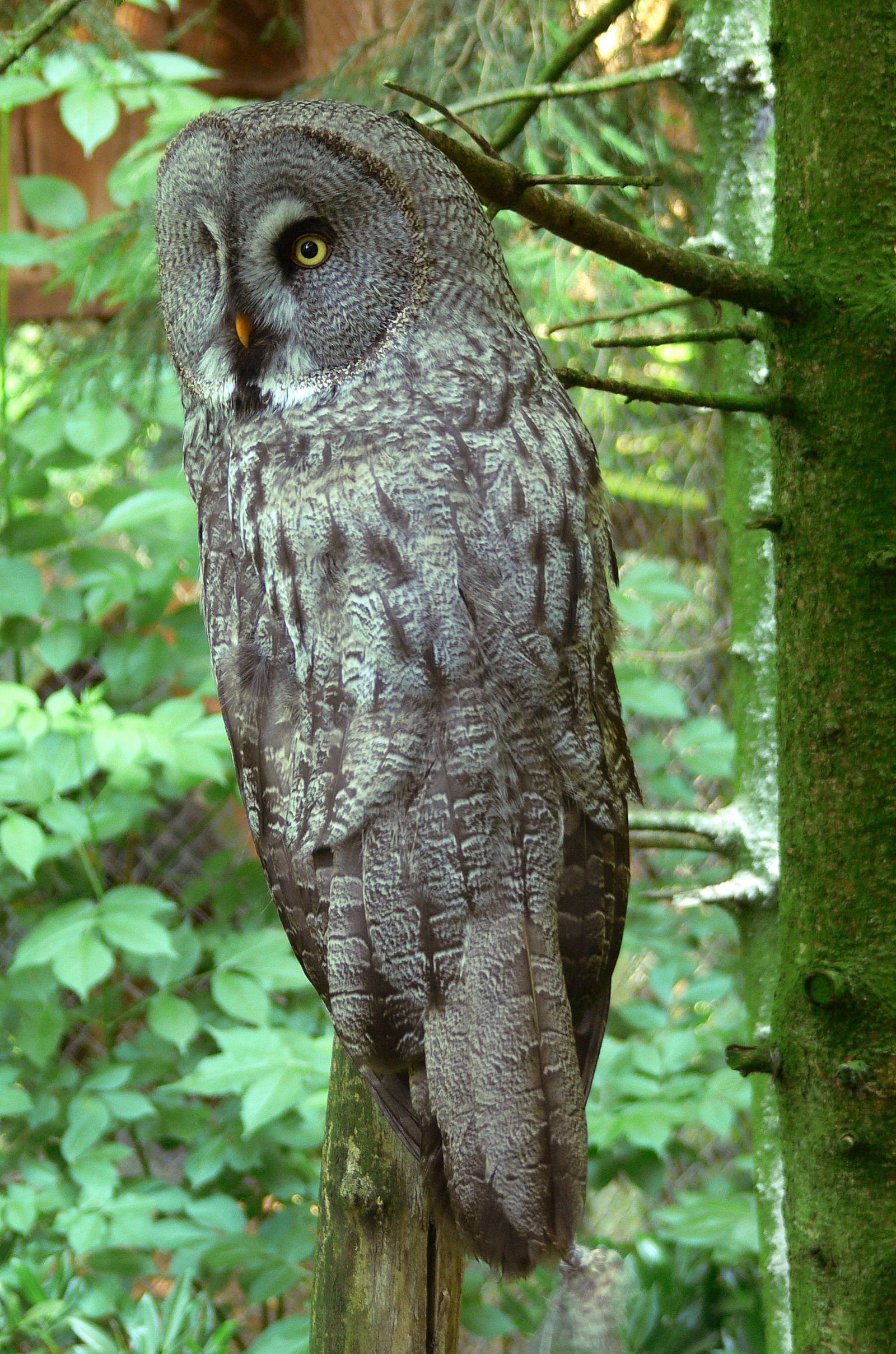 Heimat-Tierpark Olderdissen