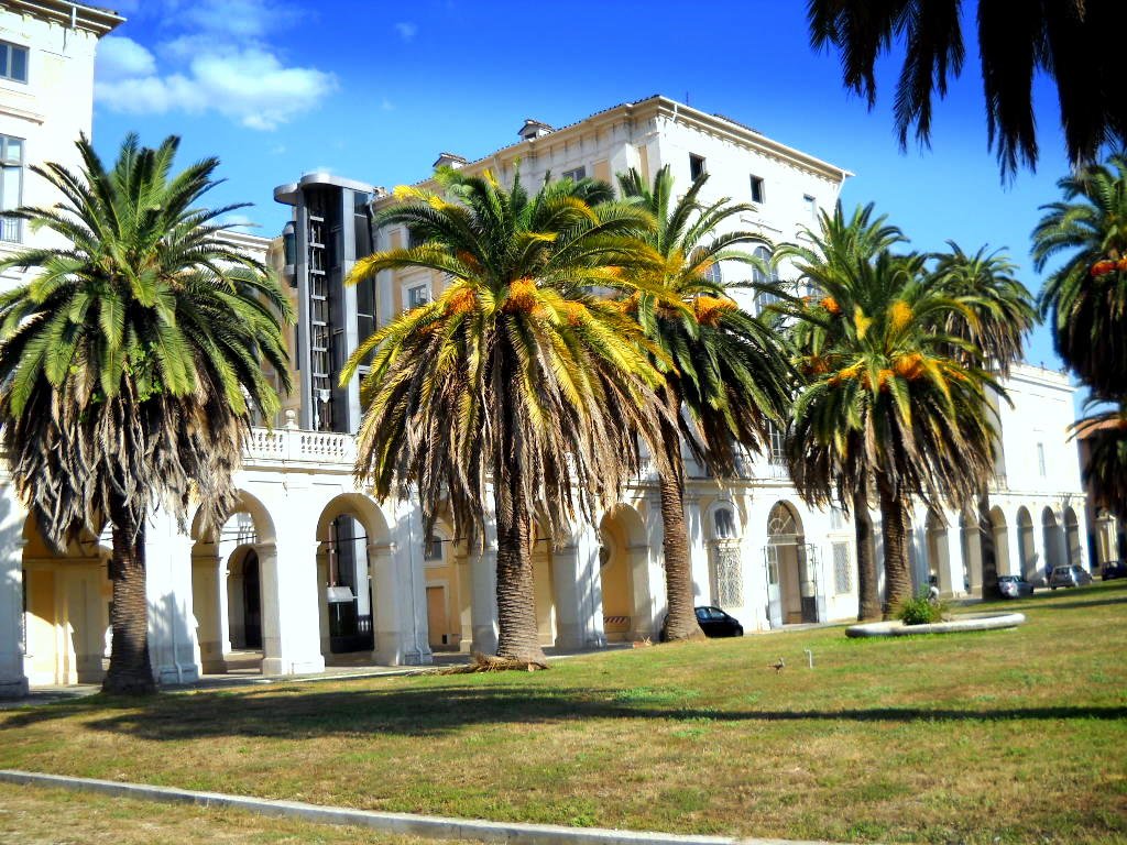 Galleria Corsini - Palazzo Corsini
