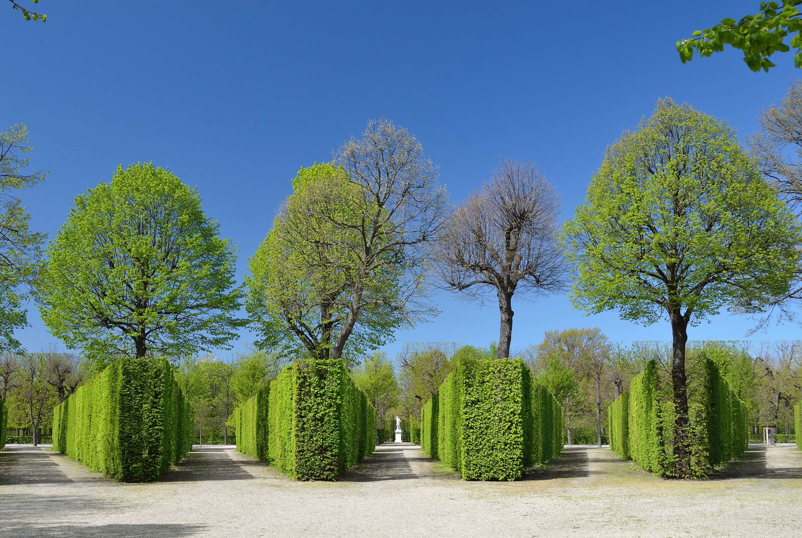 Gärten von Schönbrunn