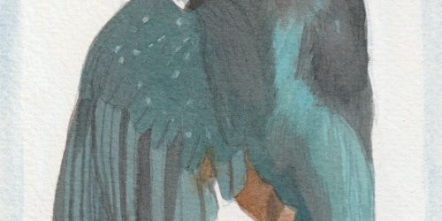 STIL LEVEN & LANDSCHAP Slachtoffers van een jachtig leven