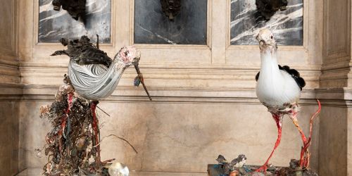 Of roosters and hens, hoopoes, owls and other animals. Toni Zuccheri at the Bagatti Valsecchi Museum