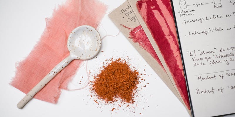 COLOUR Learning Lab with Lucila Kenny