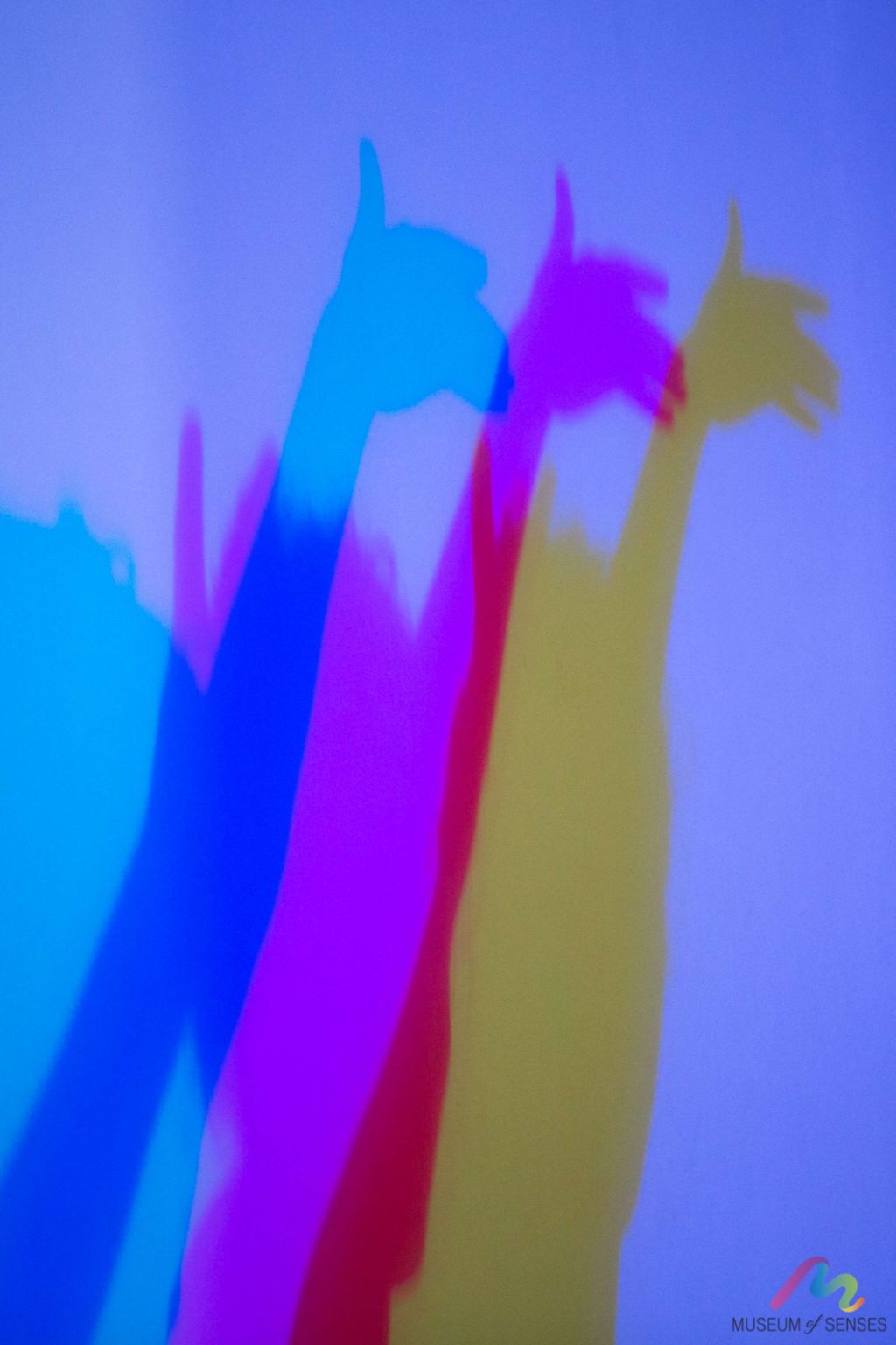 RGB Room