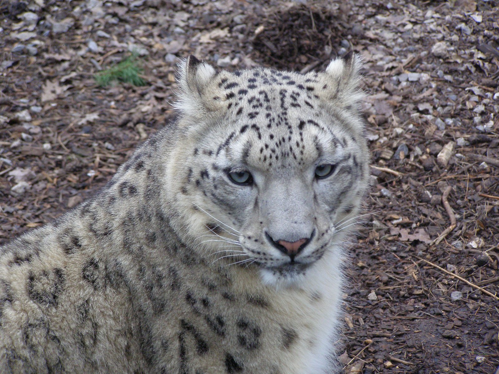 Marwell Wildlife