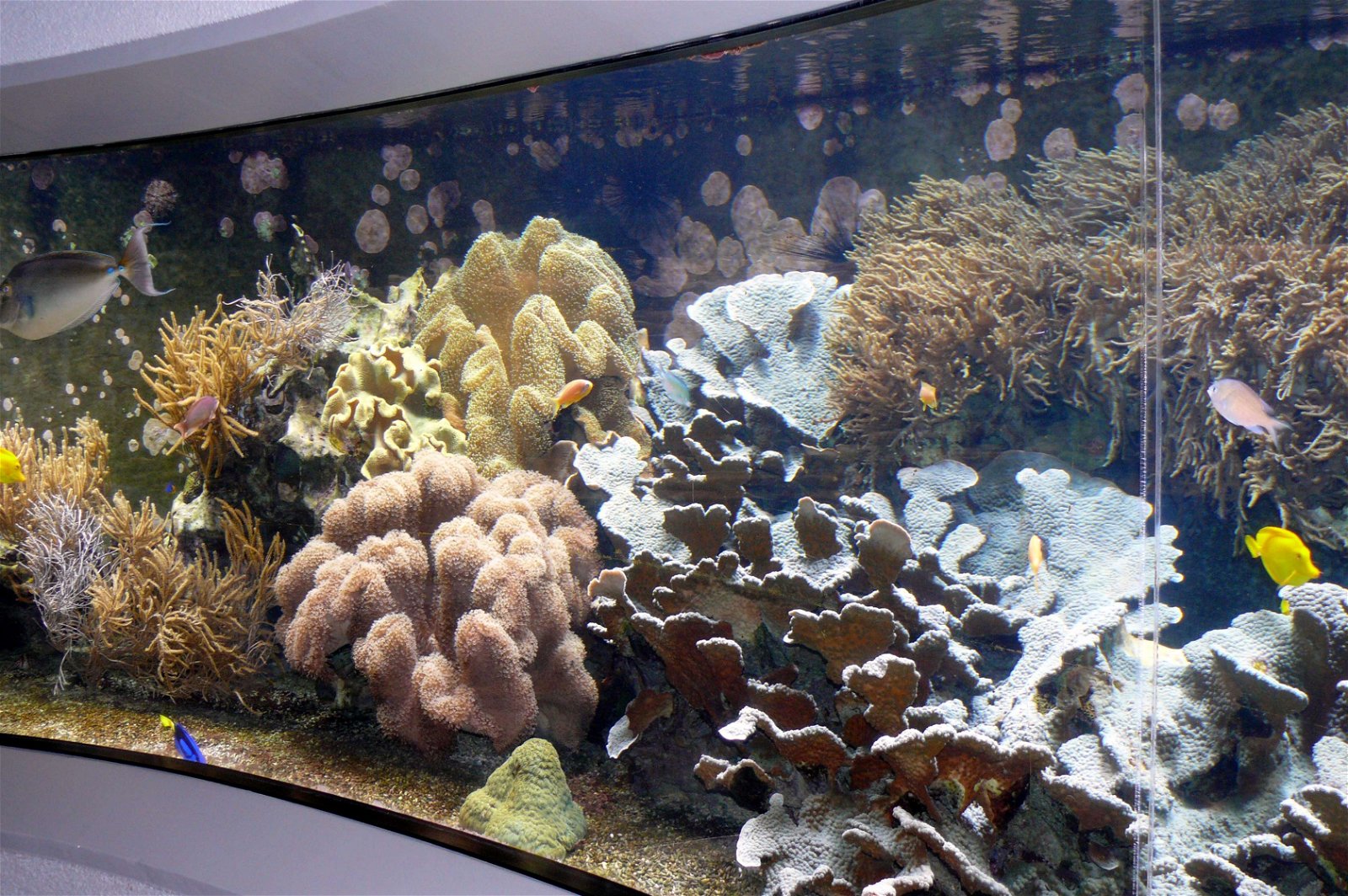 Aquazoo – Löbbecke-Museum Düsseldorf