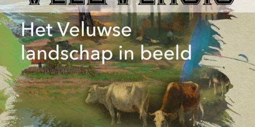 'Pictura Veluvenis - Het Veluwse landschap in beeld'
