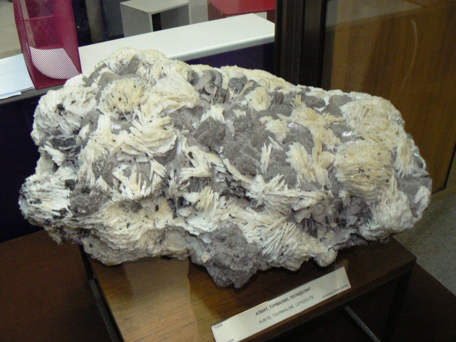 Earth and Man National Museum