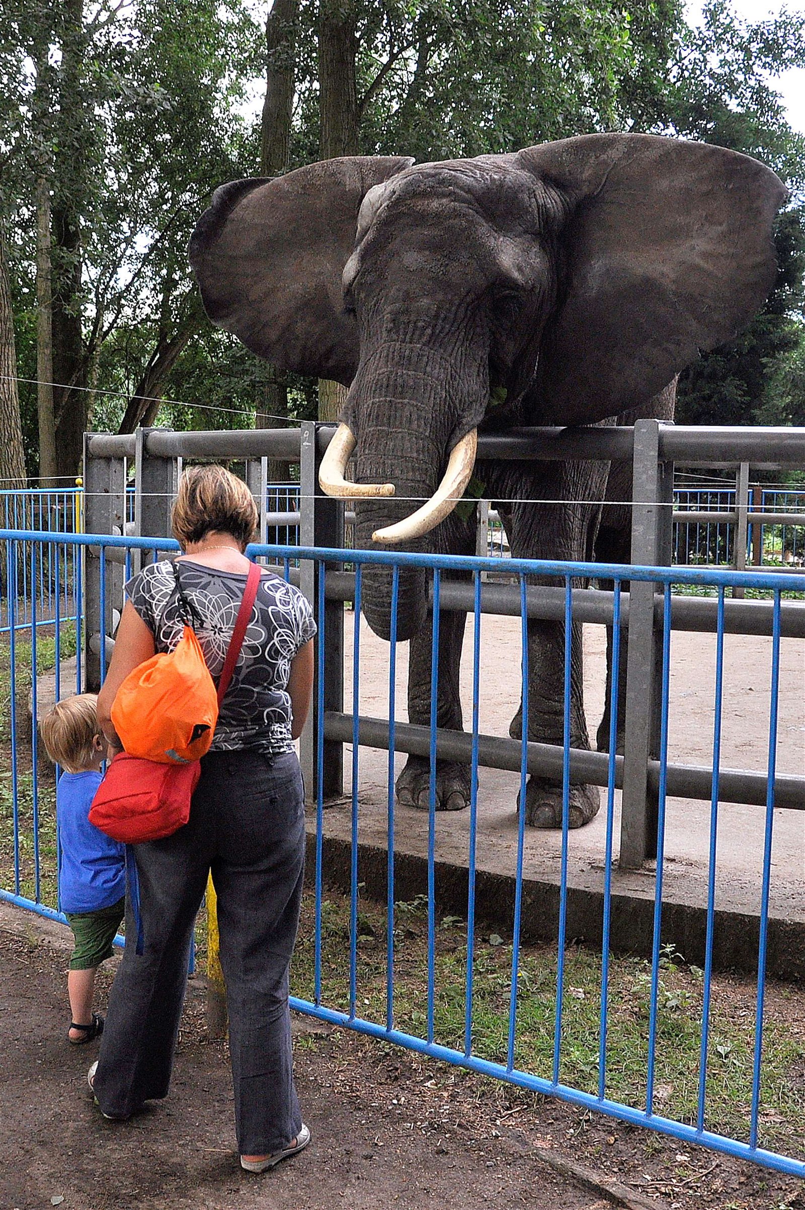 Familiepark Harry Malter