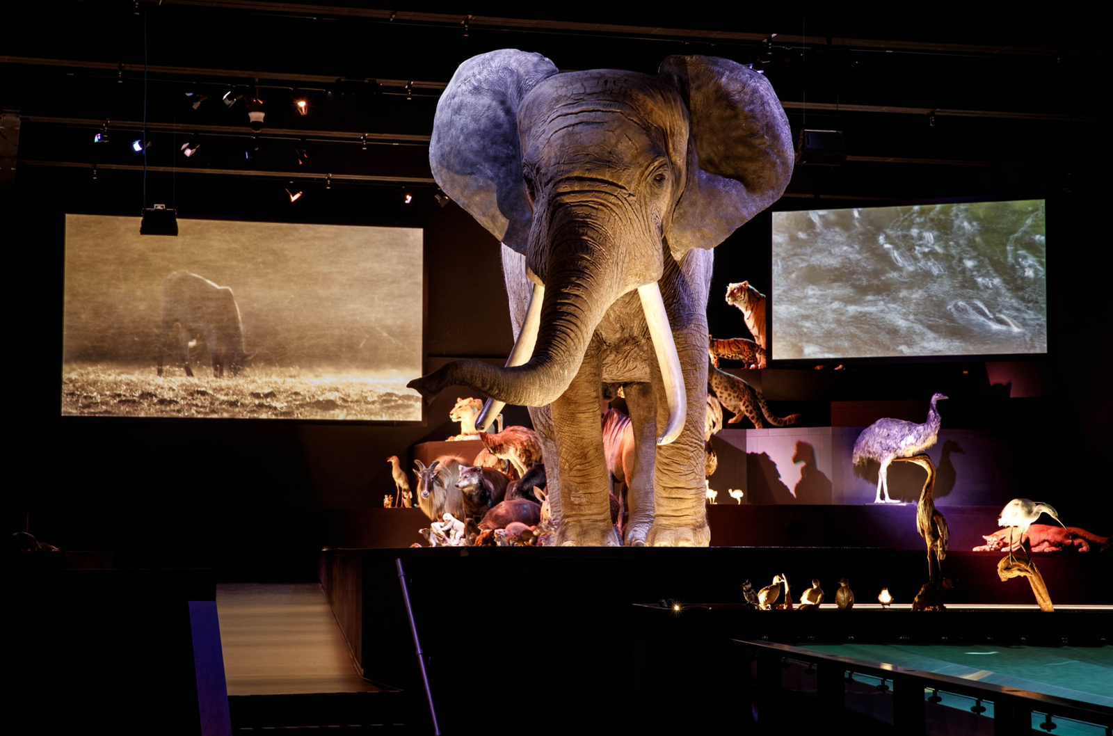 Naturalis Biodiversity Center