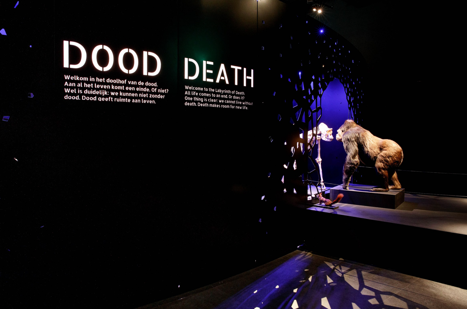 Naturalis Biodiversity Center