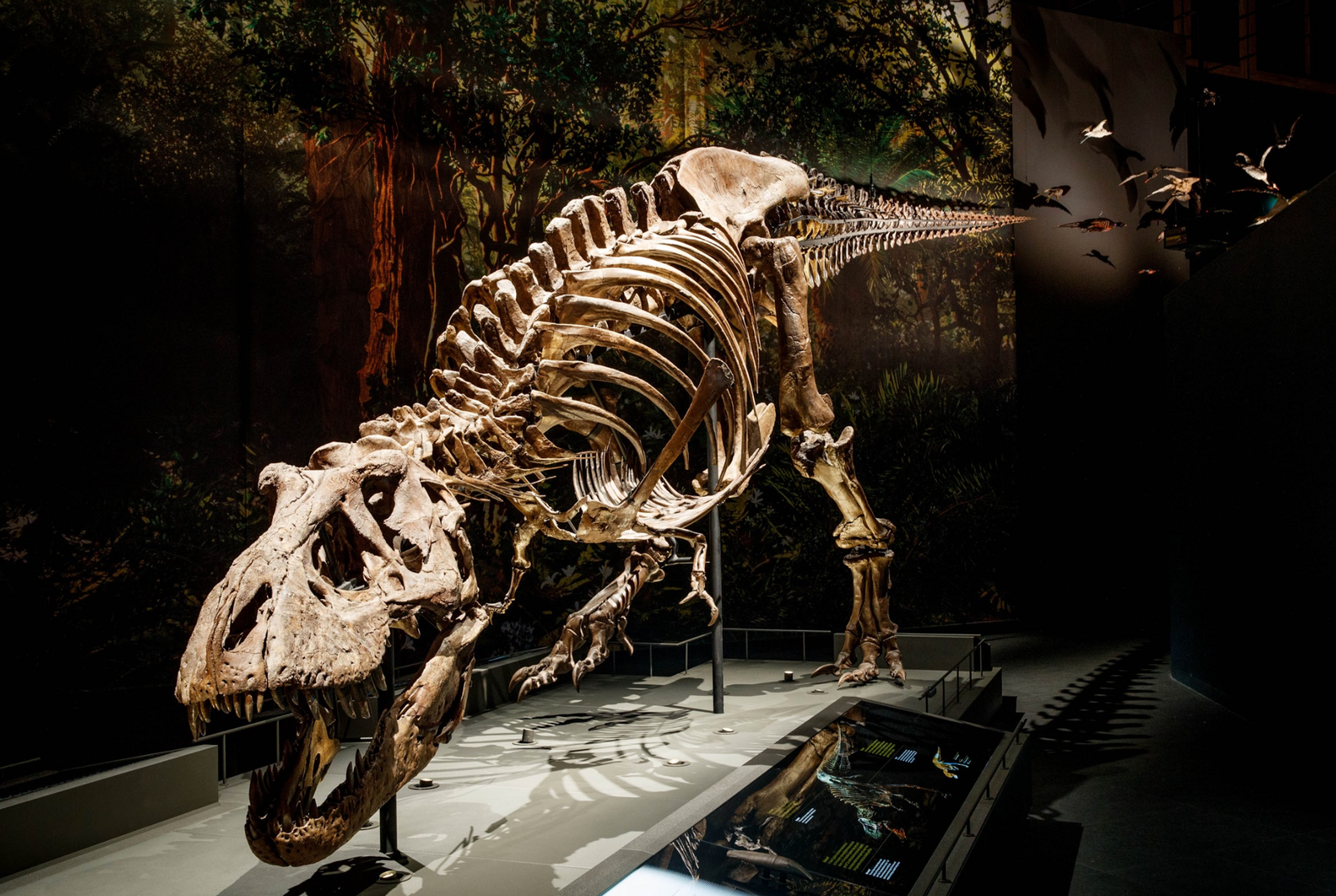 Naturalis Biodiversity Center