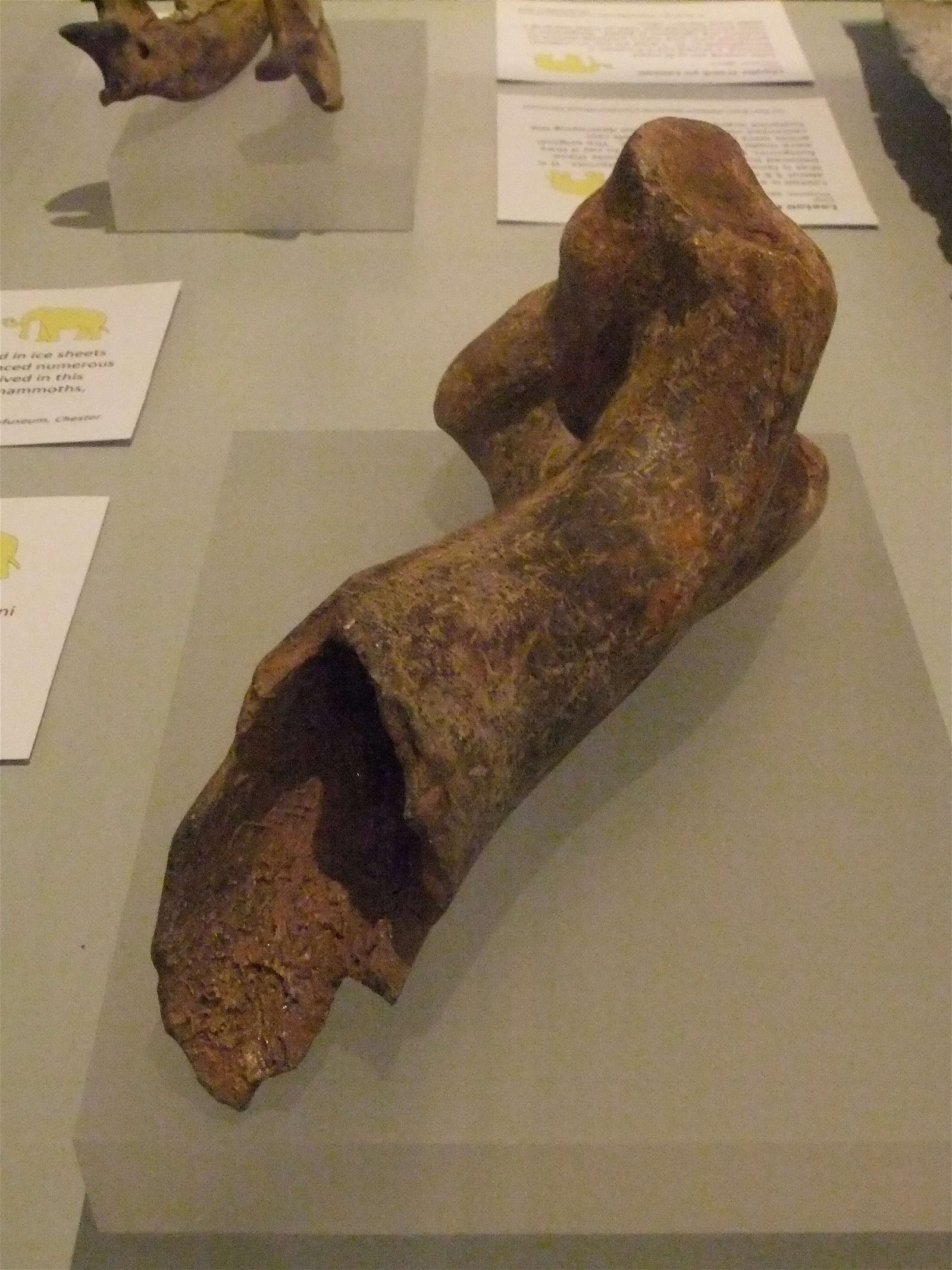 Wrexham County Borough Museum and Archives