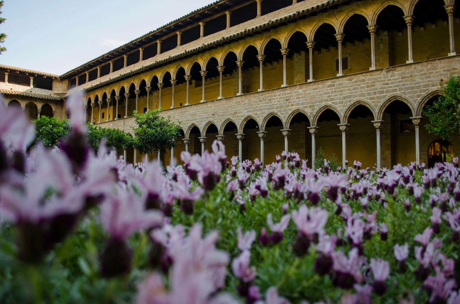 Reial Monestir de Santa María de Pedralbes