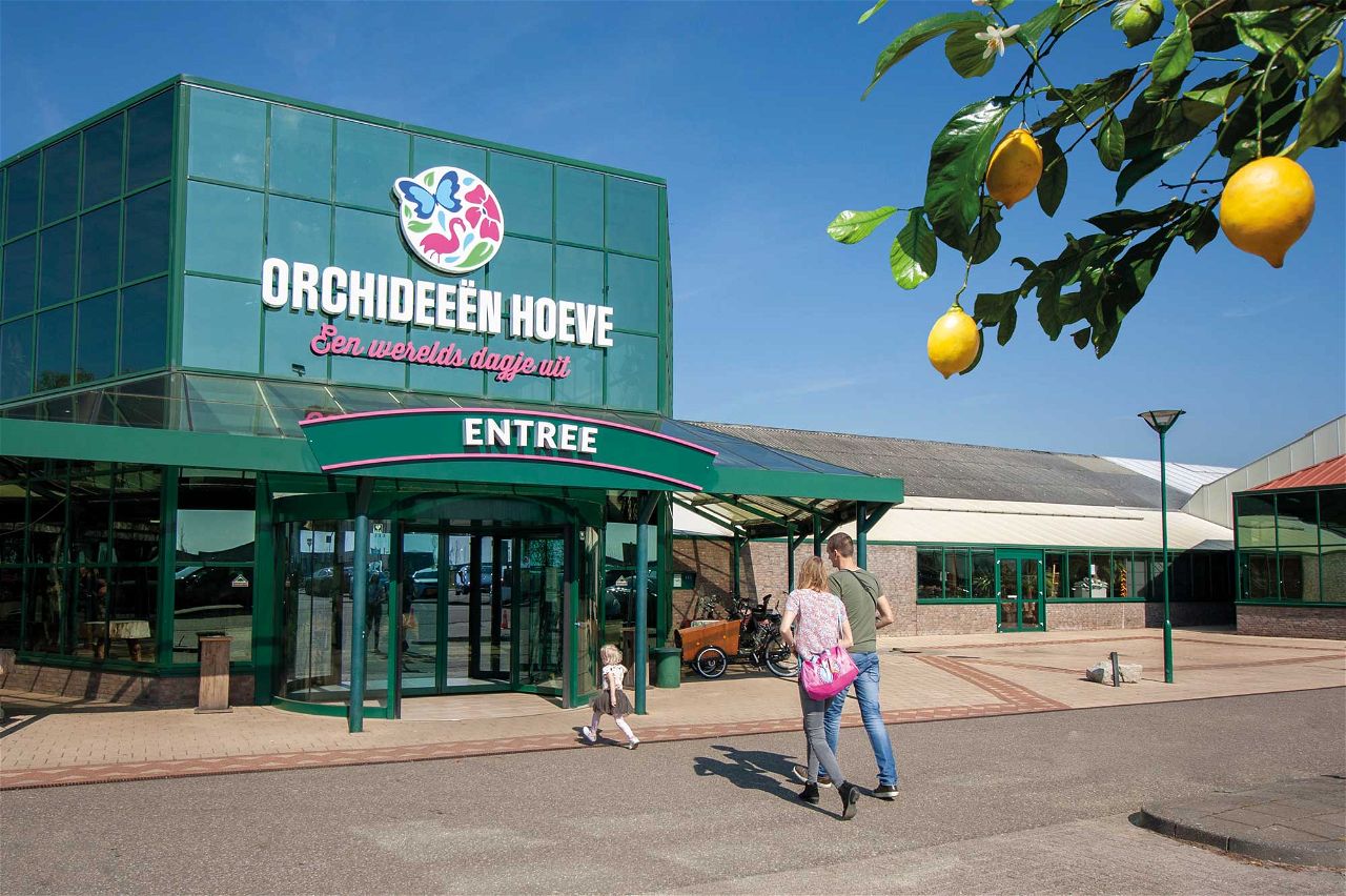 De Orchideeën Hoeve Oosterringweg 34 8315 Pv Luttelgeest