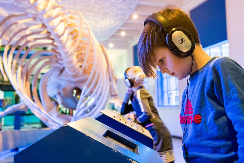 Natuurmuseum Fryslân