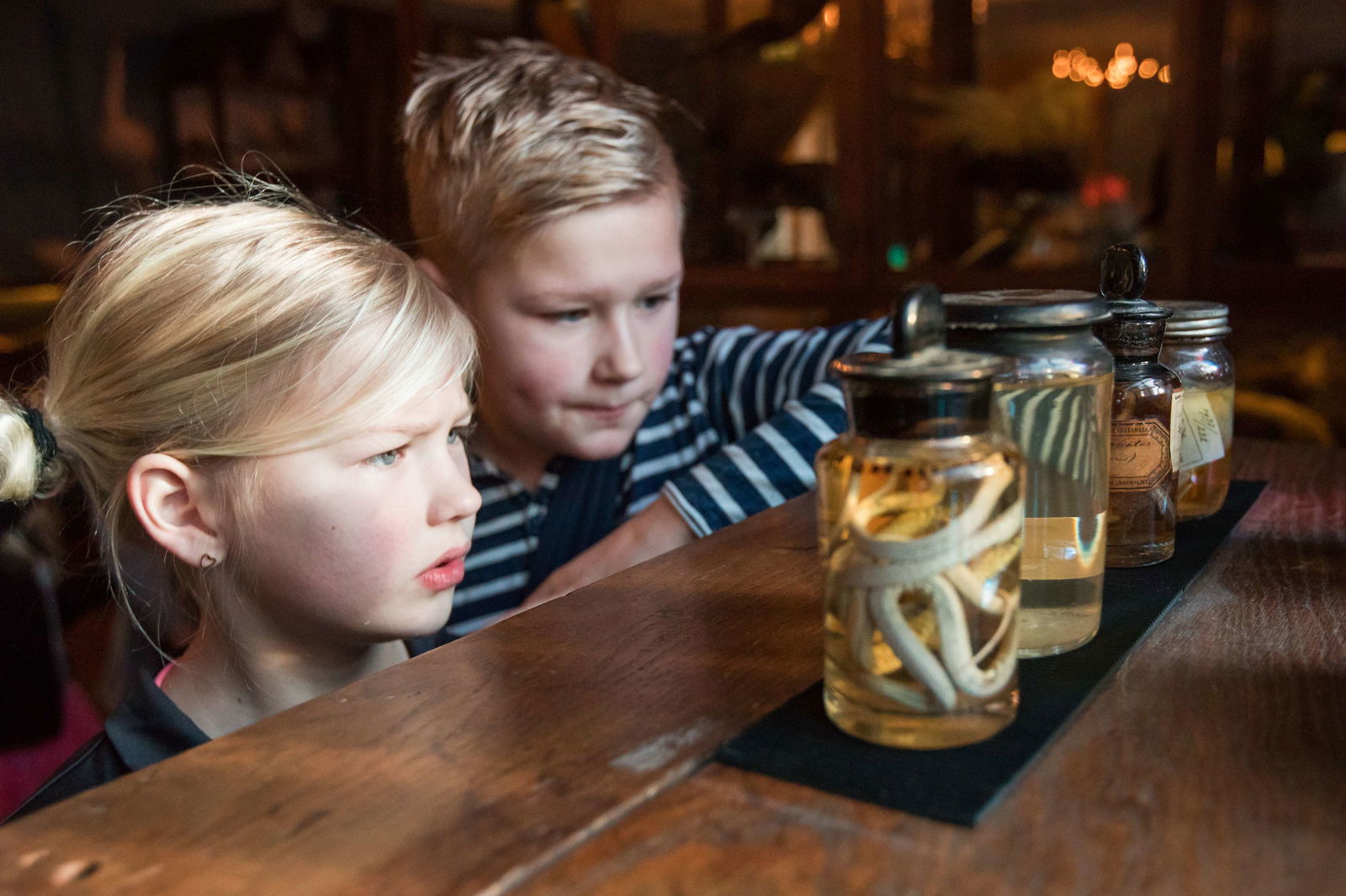 Natuurmuseum Fryslân