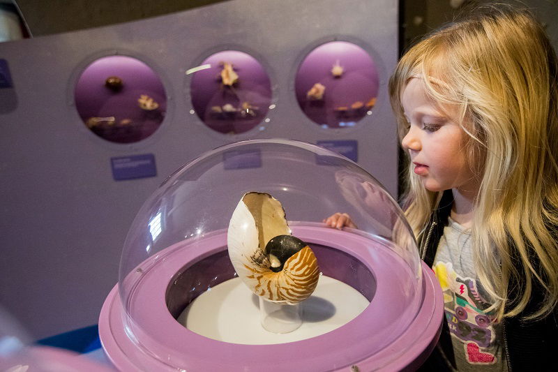Natuurmuseum Fryslân