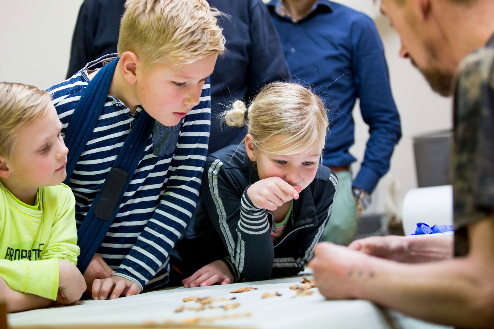 Natuurmuseum Fryslân