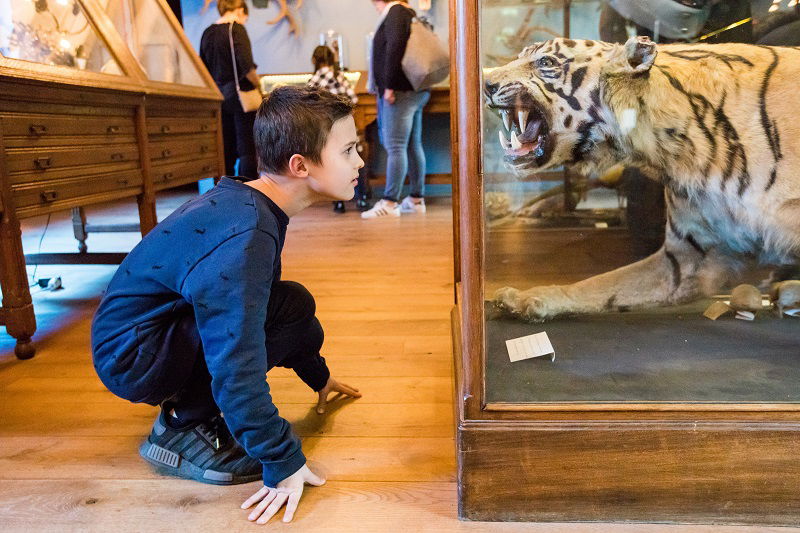 Natuurmuseum Fryslân