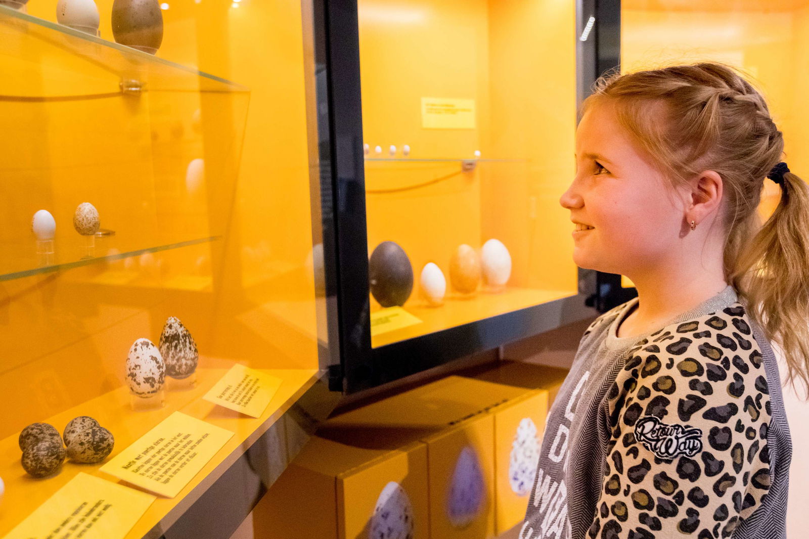 Natuurmuseum Fryslân