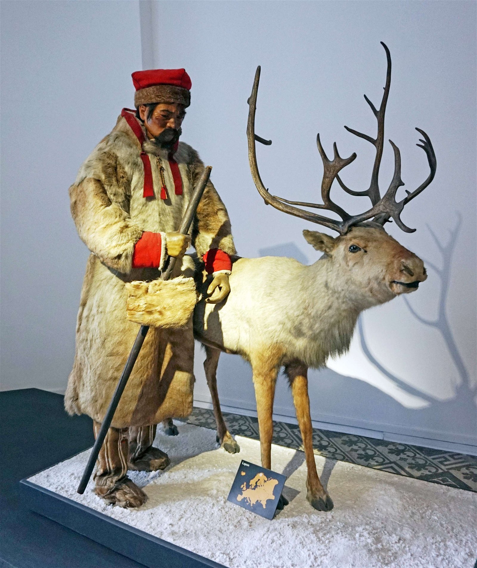 Grigore Antipa National Museum of Natural History