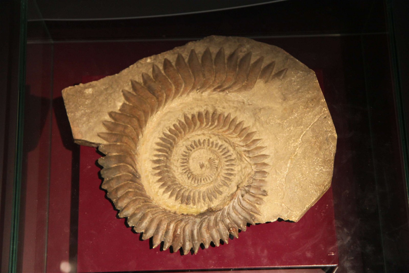 Aquarium de la Porte Dorée