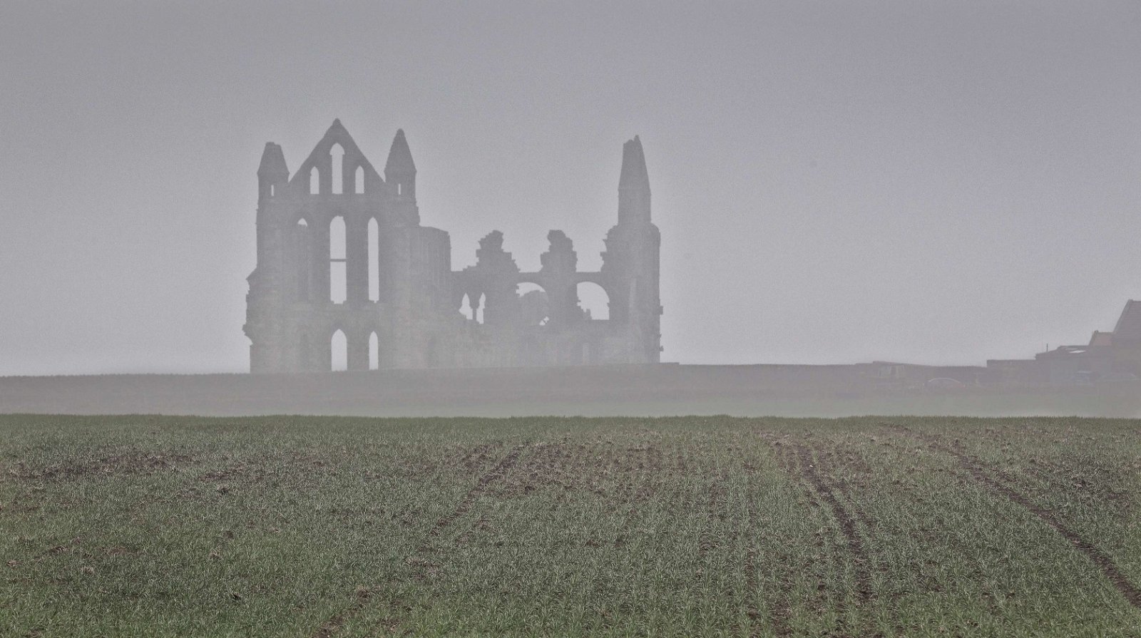 Whitby Abbey