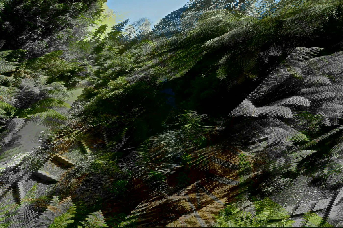 Jardins perdus de Heligan