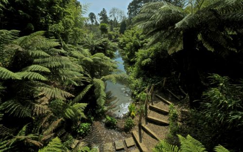 The Lost Gardens of Heligan