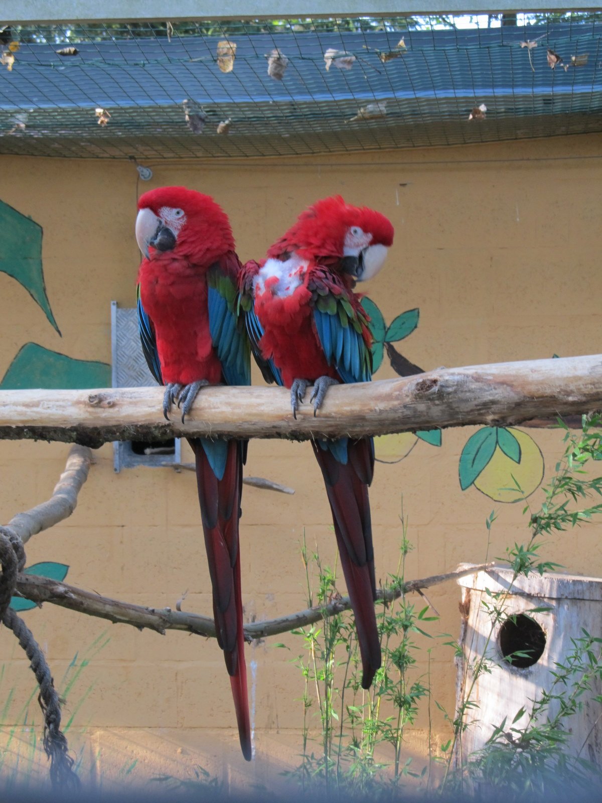 Familiepark Harry Malter