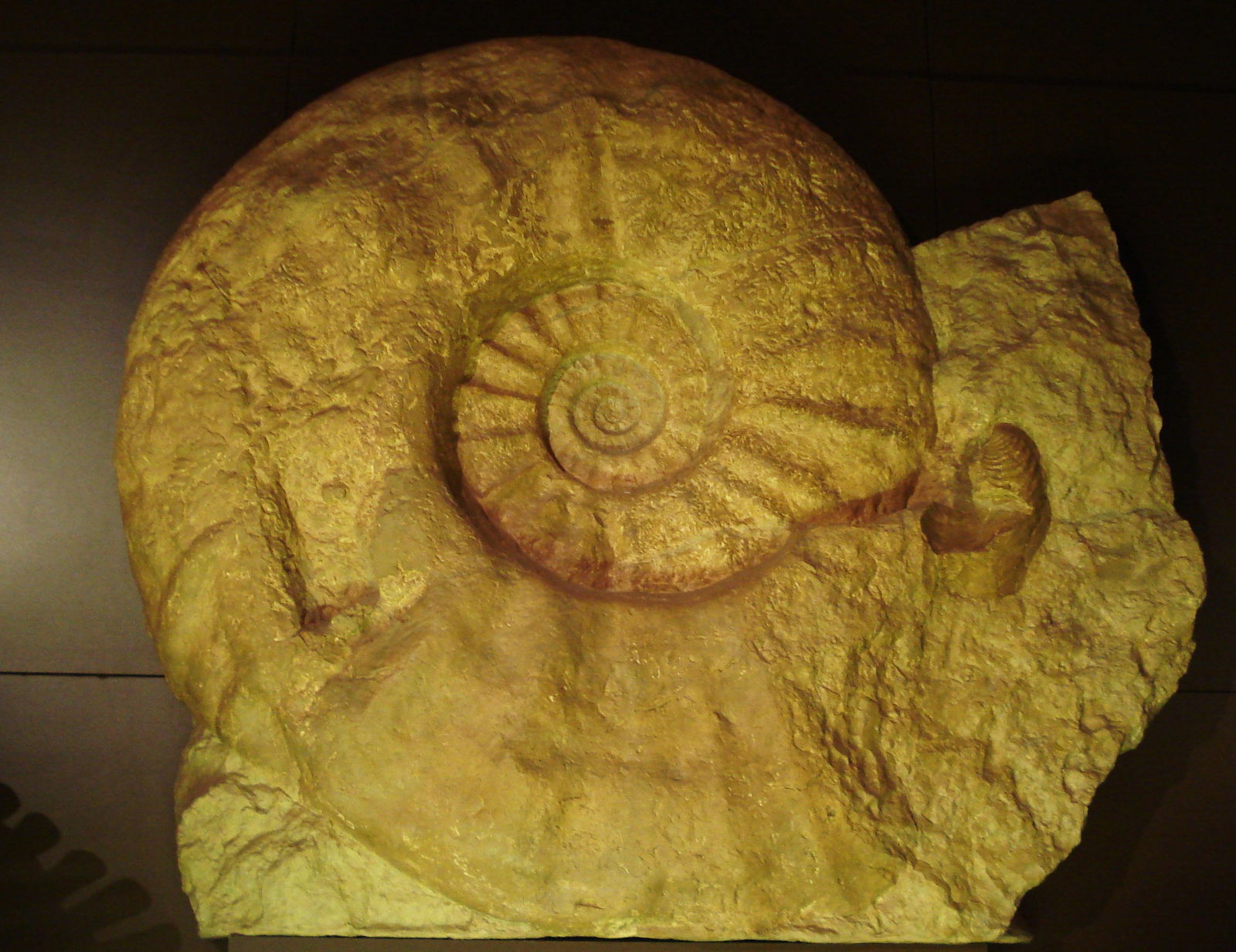 Museum Mensch und Natur