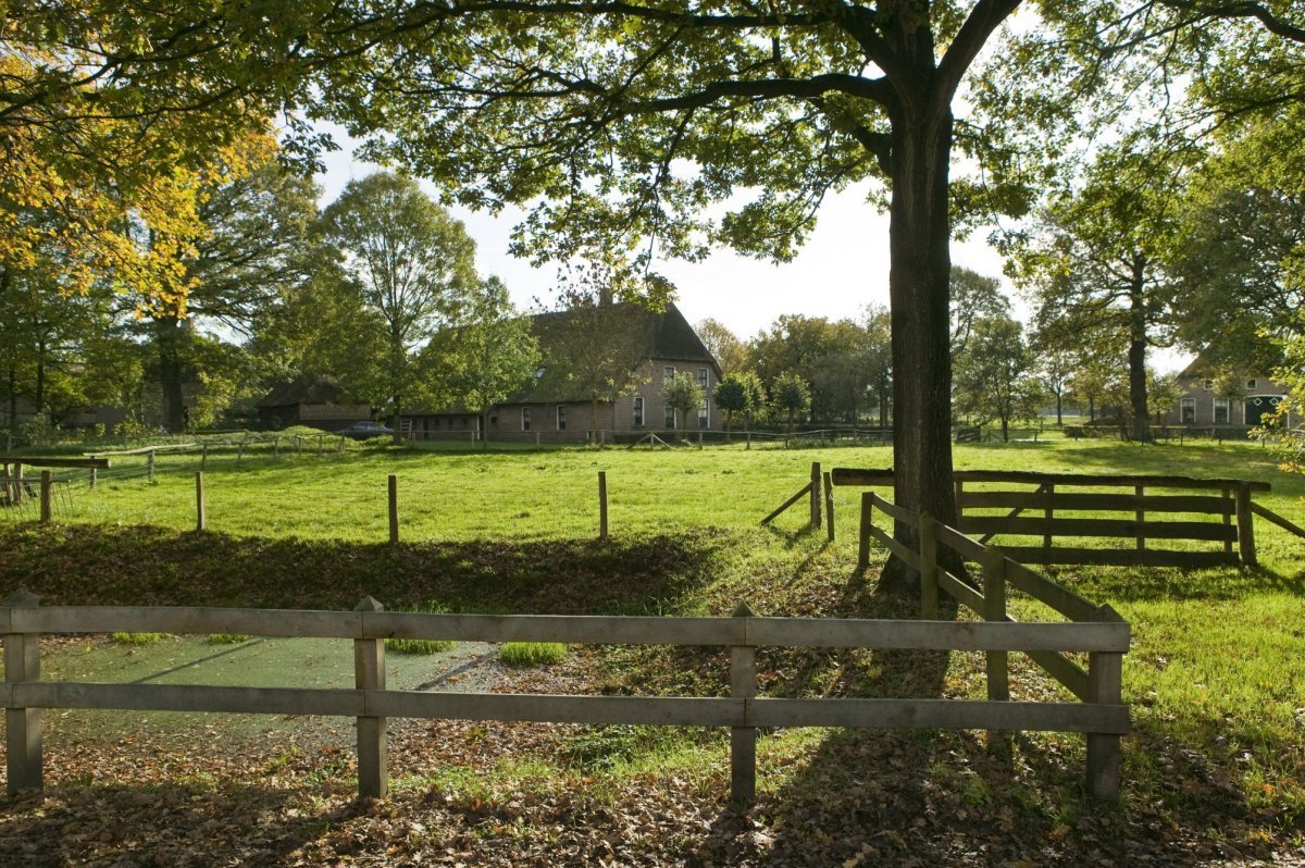 Orvelte Poort - Ottenshoes