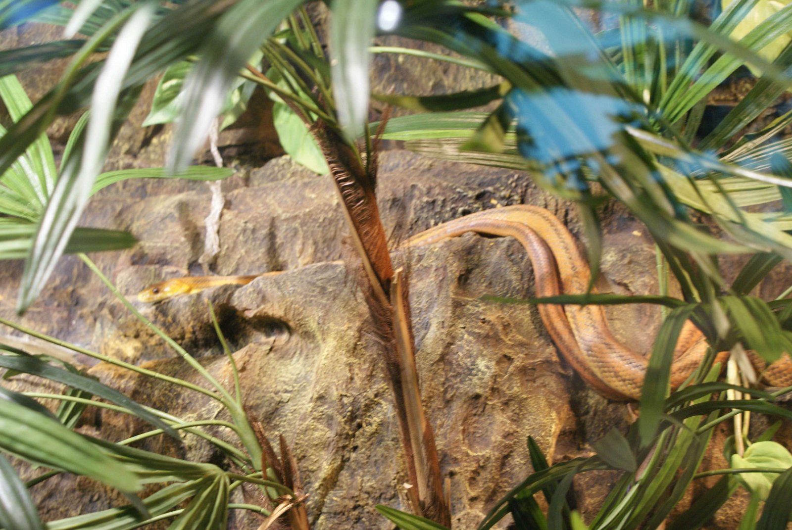 Tropicarium - Oceanarium